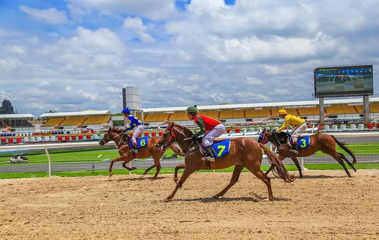 Làm Chủ Đường Đua Với Kinh Nghiệm Cá Cược Đua Ngựa BongX9 Bất Bại