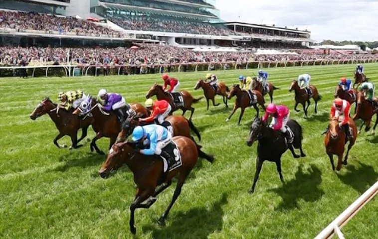 Làm Chủ Đường Đua Với Kinh Nghiệm Cá Cược Đua Ngựa BongX9 Bất Bại