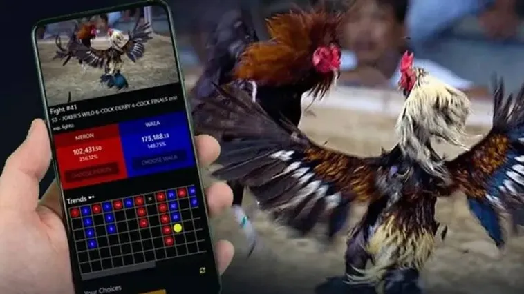 Khám Phá Sảnh Cược Đá Gà BongX9 Đỉnh Cao Để Nhận Thưởng Khủng Ngay Hôm Nay