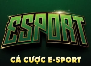 Hướng Dẫn Cá Cược Thể Thao Điện Tử Đỉnh Cao Tại BongX9